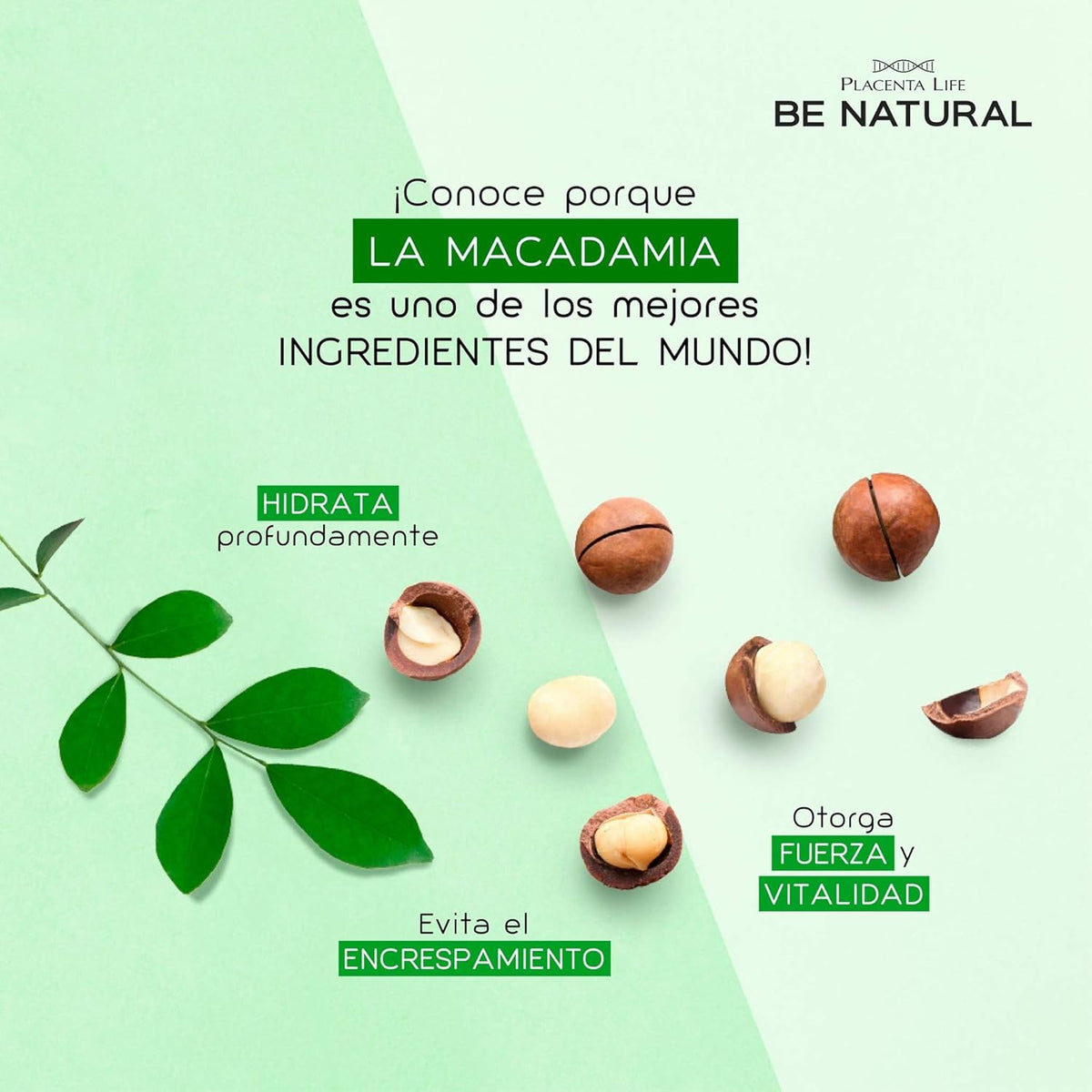 Placentalife Acondicionador hidratante 350 ml Hydra Macadamia