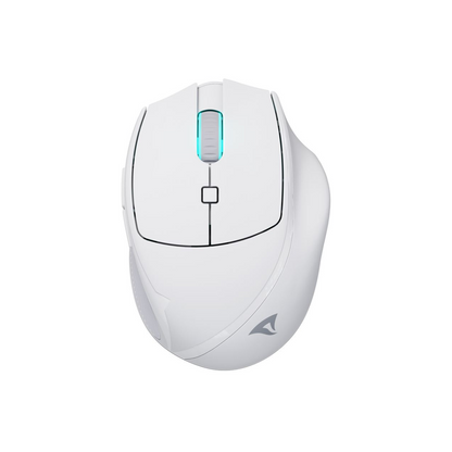 Mouse inalámbrico Sharkoon OfficePal M25W negro vista frontal con receptor USB