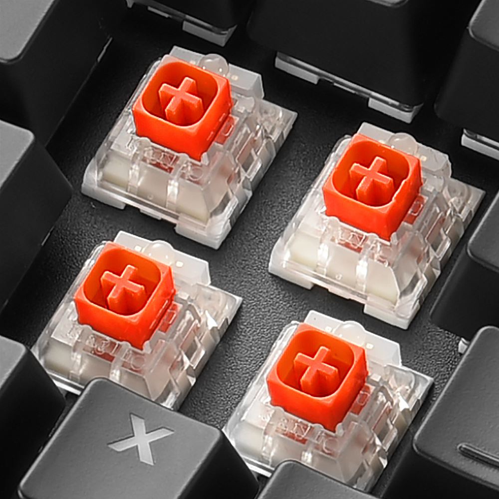 Vista trasera del Sharkoon SGK60 mostrando conectores y base antideslizante del teclado