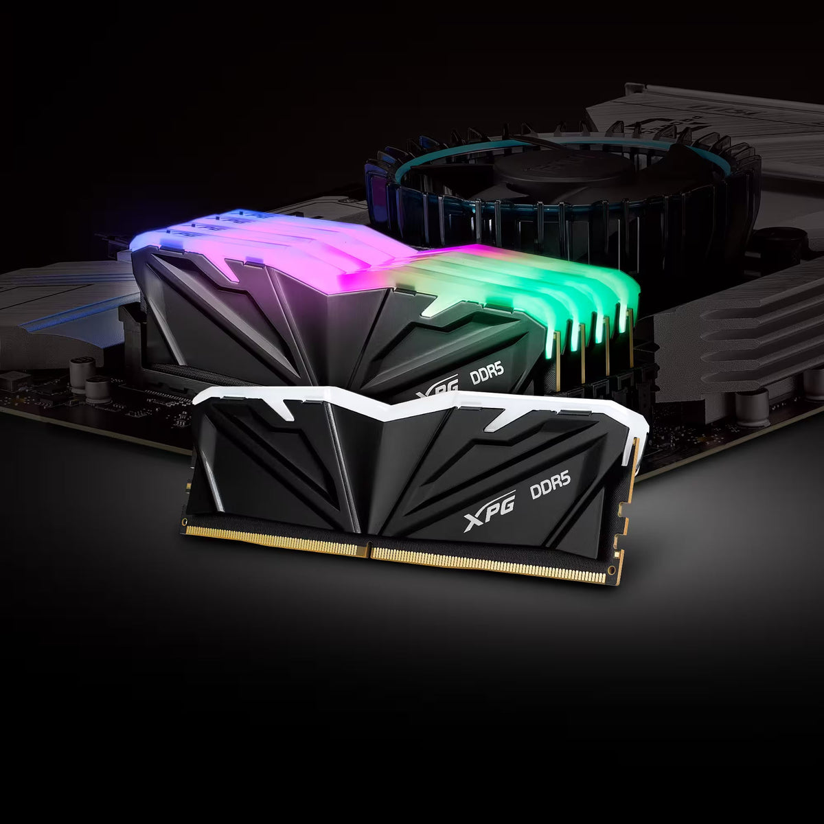 XPG Memoria RAM 16GB DDR5 5600MHz, AX5U5600C4616G-SAMRBK