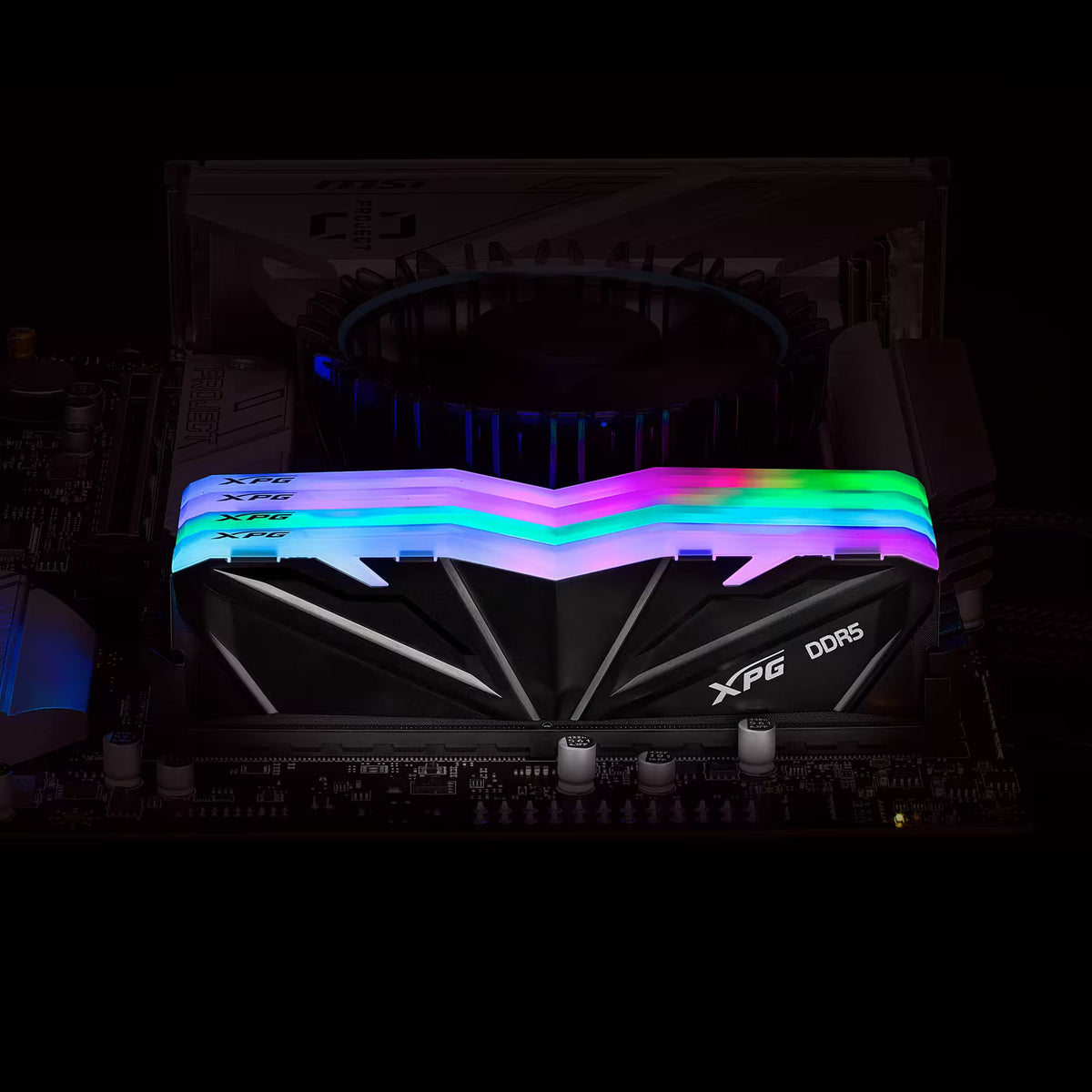 XPG Memoria RAM 16GB DDR5 5600MHz, AX5U5600C4616G-SAMRBK