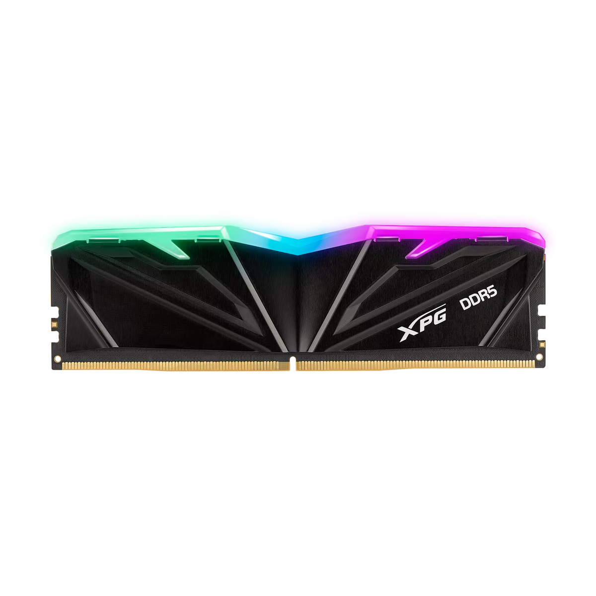 XPG Memoria RAM 16GB DDR5 5600MHz, AX5U5600C4616G-SAMRBK