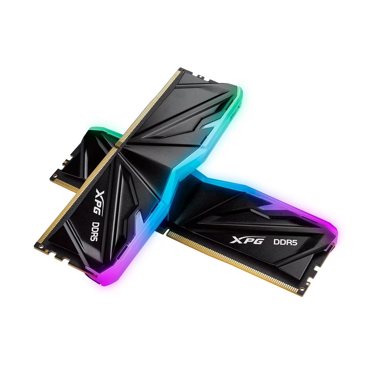 XPG Memoria RAM 16GB DDR5 5600MHz, AX5U5600C4616G-SAMRBK