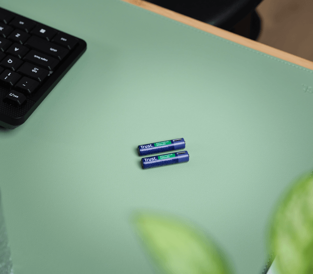 Pilas Trust AAA Recargables USB-C Azul (2-Pack), 25585